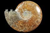 Polished, Agatized Ammonite (Cleoniceras) - Madagascar #133254-1